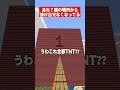 誰のイタズラ?いつからここにいたんだろう? #マインクラフト #minecraft #マイクラ