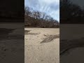 Rock hounding the Des Moines River, December 8, 2024. Weird, 63 degrees Fahrenheit , 17.22 Celsius