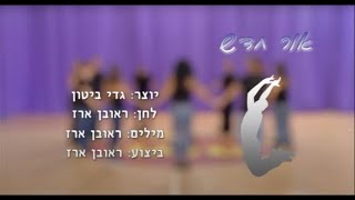 אור חדש - ריקודי עם למתחילים