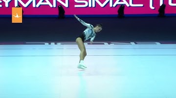 ARTISTRY General Content 2 FIG