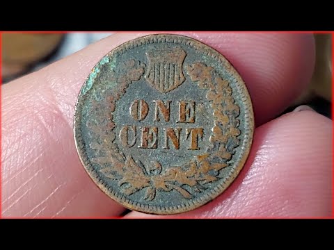 $150 PENNY HUNT!!!