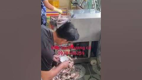 Máy tách xương cá biển Cr300, máy ép cá biển, máy lọc xương cá làm chả cá,máy ép cá thác lác/cá biển