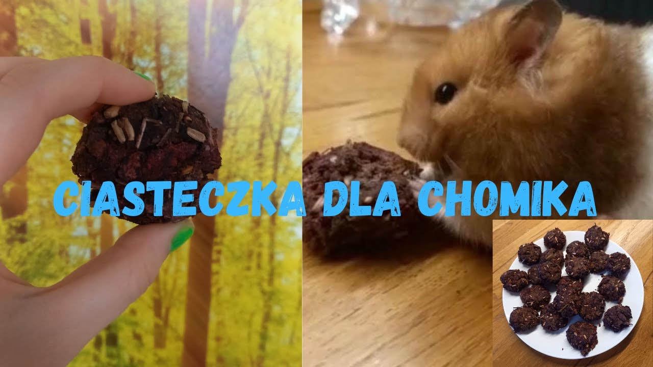 Ciasteczka dla chomika