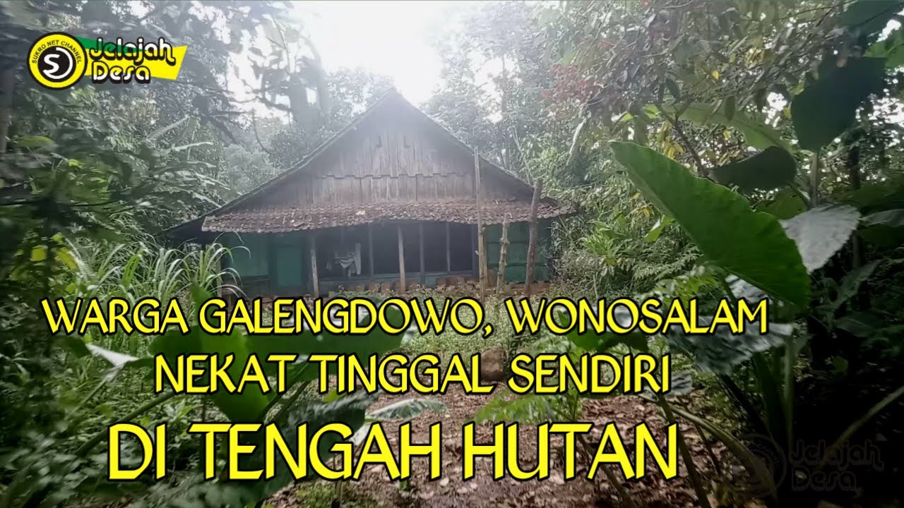 Rumah terpencil di tengah hutan || warga galengdowo, wonosalam, Jombang