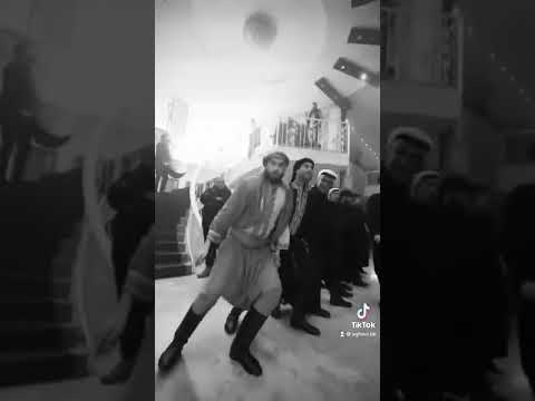 مهند زعيتر دبكة دبكات دبكة دبكة بعلبكية مهند زعيتر لبنان عراق سوريا 