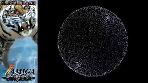 Amiga Demoscene Stream: 242, 3D Demo, 3D Demo 2, 9 Fingers, A1200 Demo, Absolute Inebriation