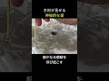 木材に墨