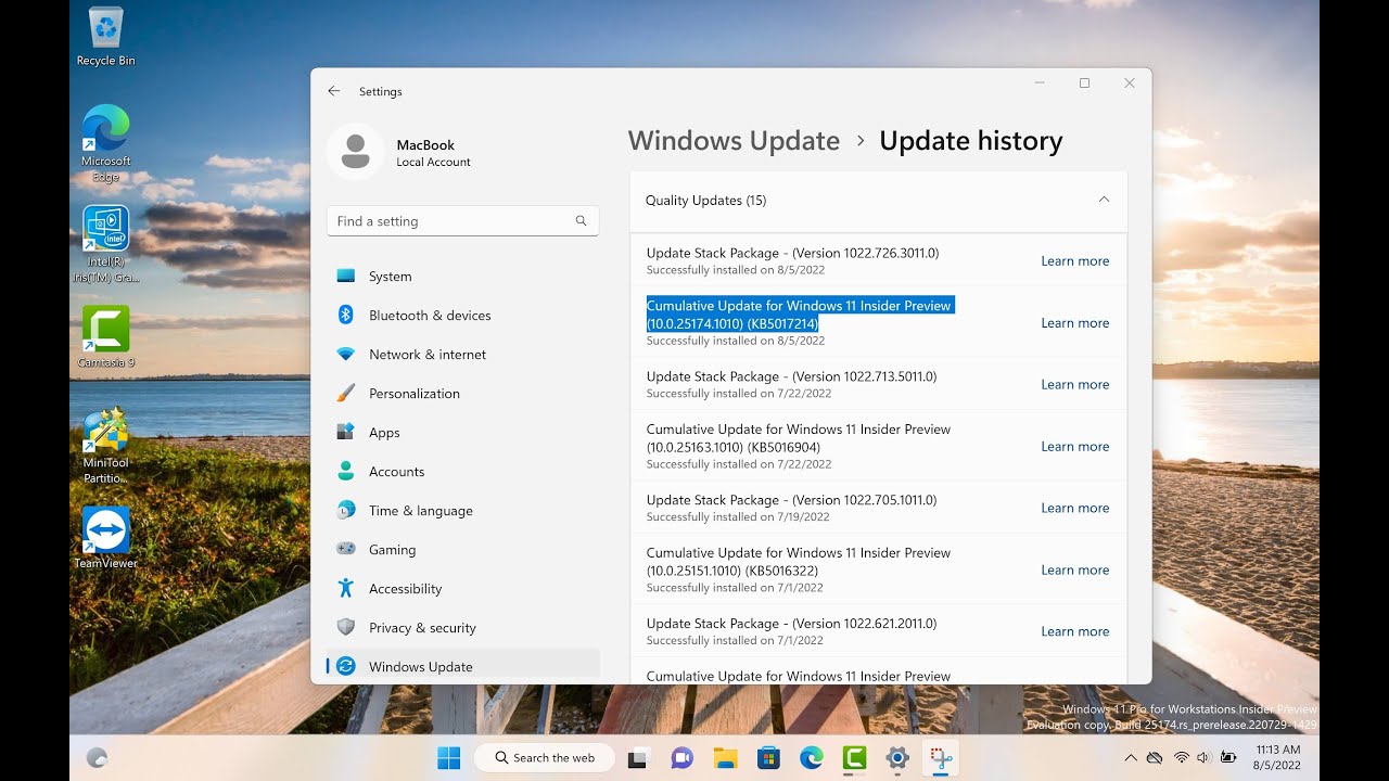 Cumulative Update for Windows 11 Insider Preview (10.0.25174.1010