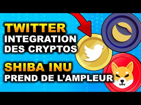 Shiba inu EXPLOSION en Février 🚀 ? BINANCE fait PUMP LUNC, TWITTER et CRYPTO 