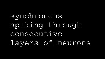 Analyzing populations of neurons - an MSc project