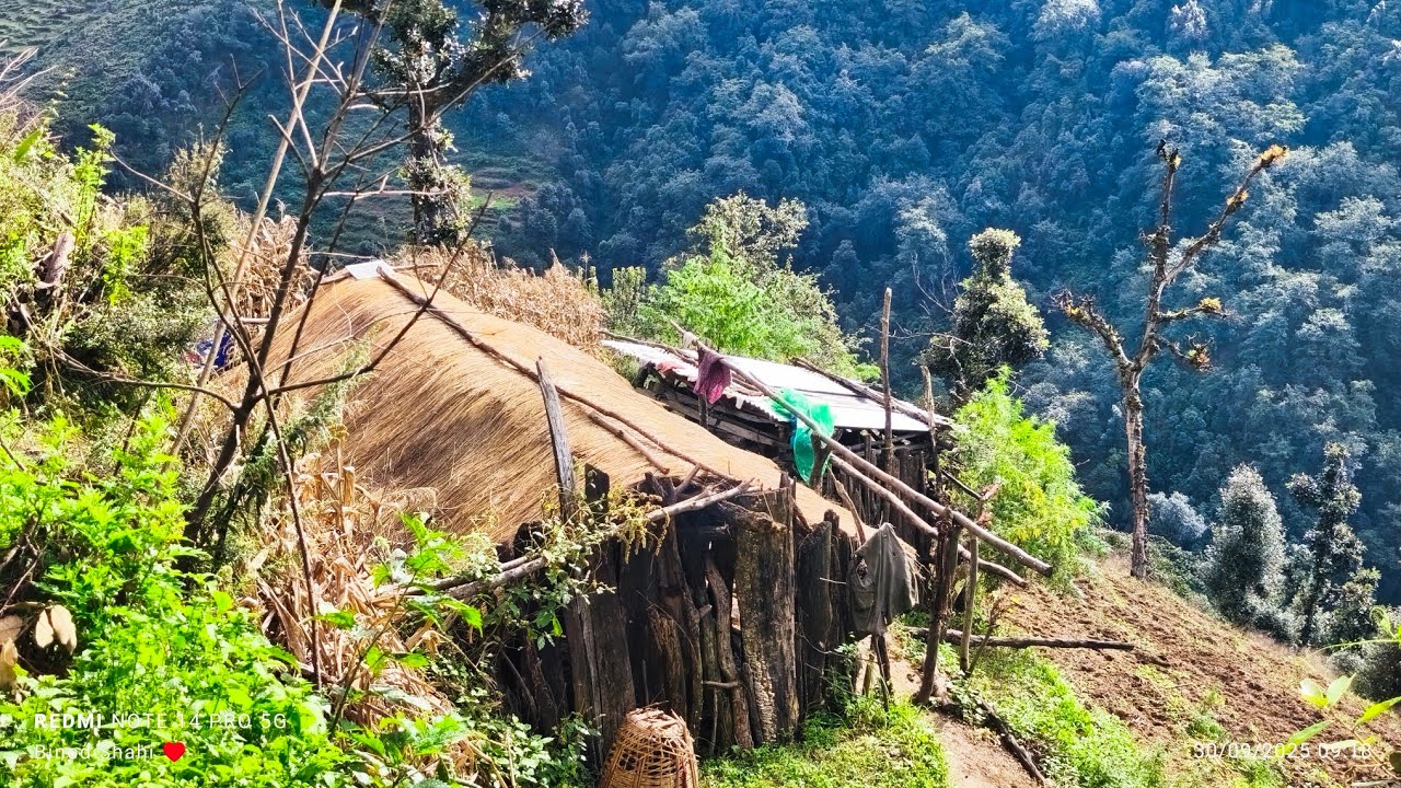 Most Peaceful And Very Relaxing Nepali Mountain Village Lifestyle | Rural Nepal Quest | Happy Life |