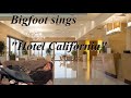 Bigfoot sings Hotel California - Howard Stern Show