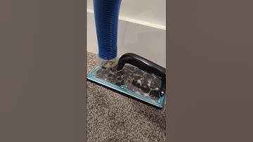 Cleaning Cat Urine Soaked Carpet