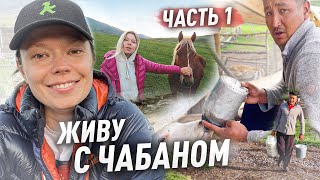 :     ! ! #vlog