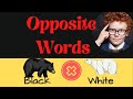 Opposite words in English for kids| Kid online Enjoyment| Learn opposites with pictures.