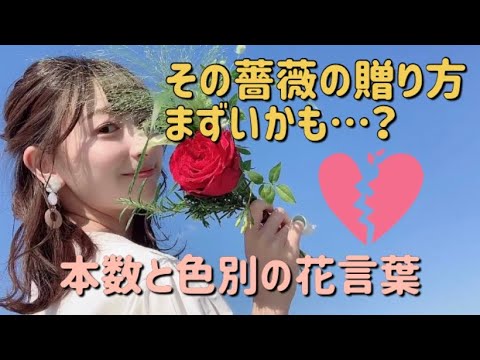 その薔薇の贈り方まずいかも 本数と色によって変わる花言葉 Youtube
