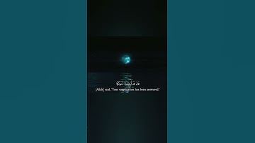 عبد الرحمن مسعد _ سورة يونس
