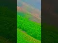 #love #viral like and subscribe