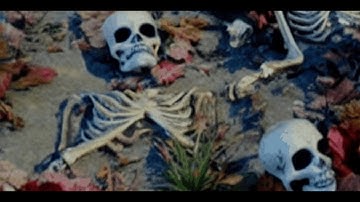 ニイヌマ ユメサクのふしだらな予想 The great conjecture