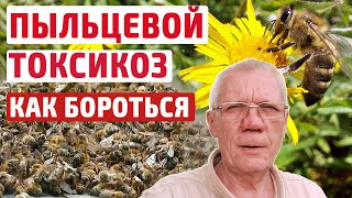 Пасека весной Пыльцевой токсикоз пчел, майская болезнь пчел, отравление пчел #анатолий стрелец