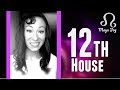 12th House | North Node Astrology
