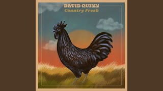 Video thumbnail of "David Quinn - I Just Want to Feel Alright"