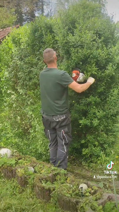 Gärtner Bernd Maschine Part 2nature YouTube