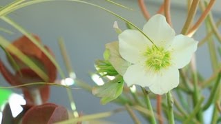 The Science Behind Gardening