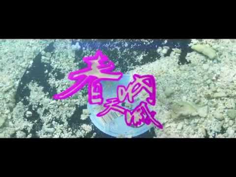 20週年春天吶喊 [Spring Scream 2014 - Celebrating 20 Years of Rocking]