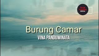 Burung camar, Vina Panduwinata dan lirik (Lyric)  | 528 Hz Music | Musik nostalgia | Lagu kenangan