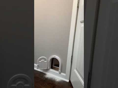 Time lapse of people installing a Purrfect Portal cat door!