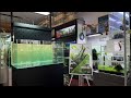 ADA 90p MISTWALL Set Up by Naru Uchida