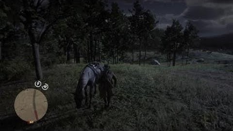 God damned hooded rodents, I