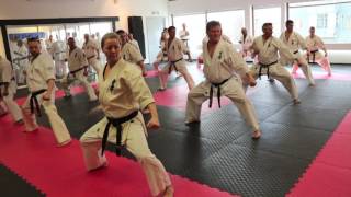 Sveriges Kyokushin-Elit Kom Till Kungälv