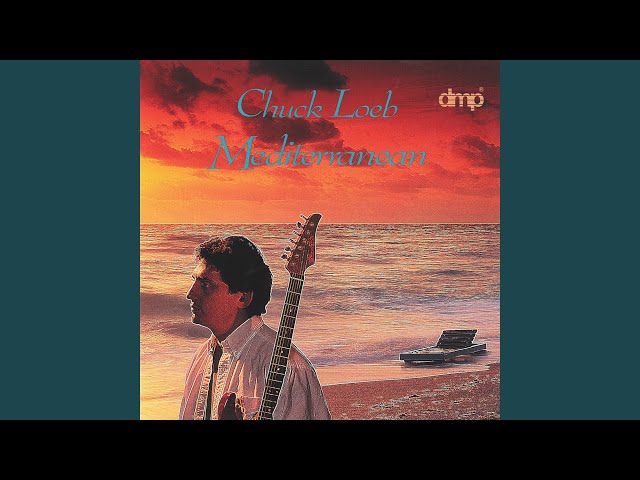 Chuck Loeb - In The Paint