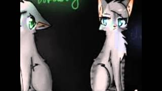 Warrior cats dovepaw and ivypaw