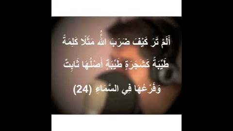 مشاري البغلي - من سورة ابراهيم