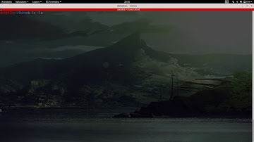 Curso Linux desde 0: Comandos ls y cd