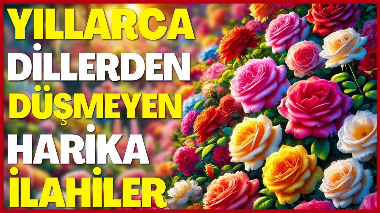 YILLARCA DİLLERDEN DÜŞMEYEN HARİKA İLAHİLER | UÇUN KUŞLAR MEDİNEYE, YA MUHAMMED DİYE DİYE
