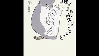 うちの猫がまた変なことしてる。