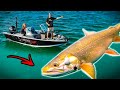 Fishing BIG CHAR In Crystal Clear Water (INCREDIBLE UNDERWATER PHOTO) | Team Galant