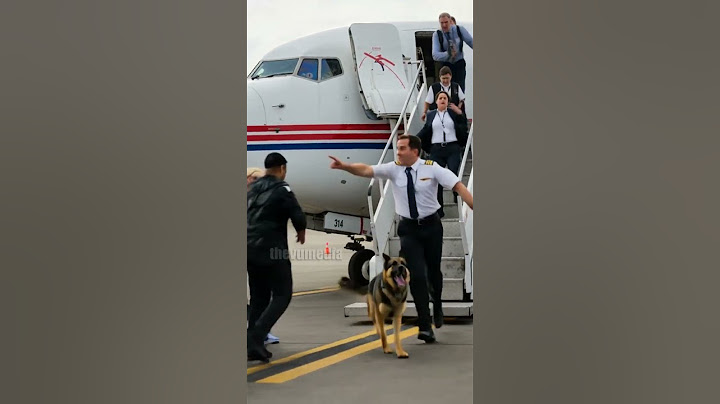 Dog's Quick Thinking Prevents A Disaster! #Miracle #Rescue #Animals