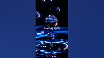 أجر لي ولكم #القرآن الكريم