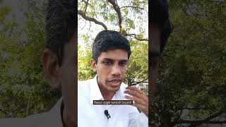 පළවෙනි දවසෙම අපිට කැවුම් කිරිබත් කවපු සමිතිය. Sujeeva's Law Diary - Club Fair Part III #shorts #law