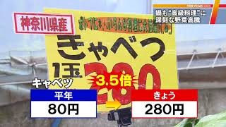 野菜高騰で…　鍋も高級料理に!?