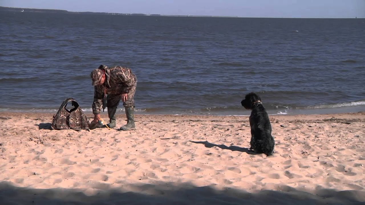watershed Museum of Maritime Pets - Working Dogs on the Water