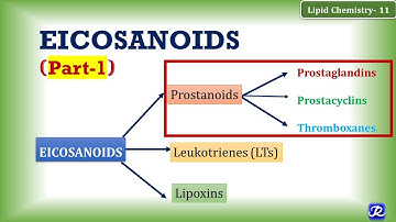11: Eicosanoids Part -1: Prostanoids (Prostaglandin, Prostacyclin, Thromboxane) | Lipid Chemistry-11
