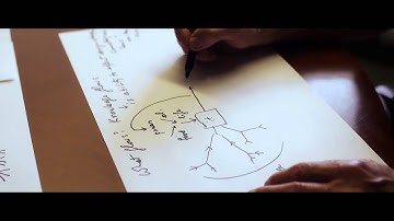 Constructal Law Explained