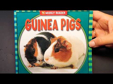 Read Along and Practice Sight Words: &rsquo;Guinea Pigs" (Grades 1 & 2)