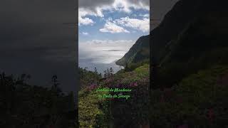 Jardim do Miradouro da Ponta do Sossego, São Miguel island, Azores islands, Portugal 🇵🇹